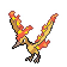 Pokemon Moltres Evolution Chart