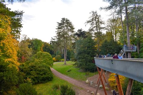 Autumn at Westonbirt Arboretum | Part-Time Passport