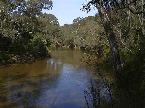 TRACKS, TRAILS AND COASTS NEAR MELBOURNE : Exploring Yarra Bend Park