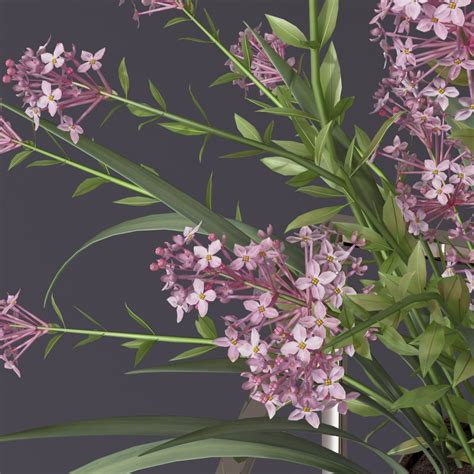 3D lilac vases bouquet flower plant - TurboSquid 1542081