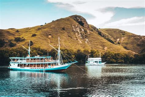 Komodo Island Tours: 9 Best Options to Book Your Trip!