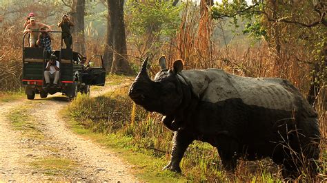 Wildlife Photography in Nepal - Tiger Encounter