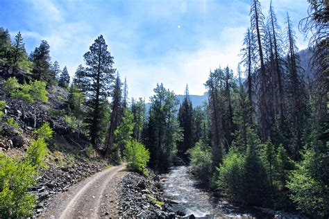 Road And Stream Wilderness Free Stock Photo - Public Domain Pictures