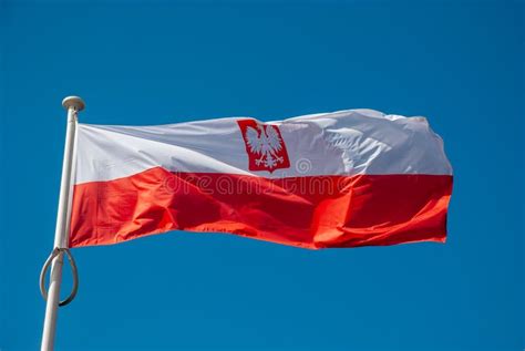 Flag of poland stock photo. Image of white, banner, nation - 132337622