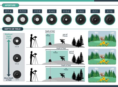 Sale > depth of field lenses > in stock