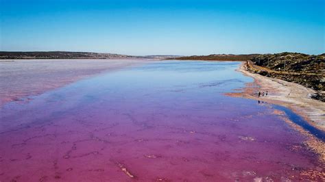 Hutt Lagoon Pink Lake 45 Min Scenic Flight - Travel Playground