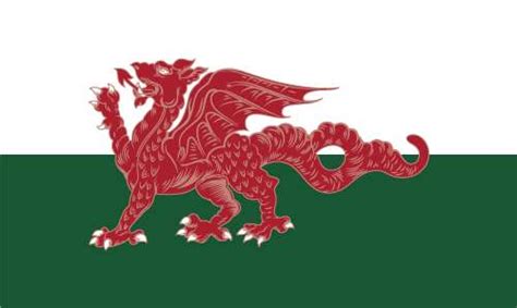 Buy Ddraig Goch Flag Online | Wales (19th Century) Flags | MrFlag