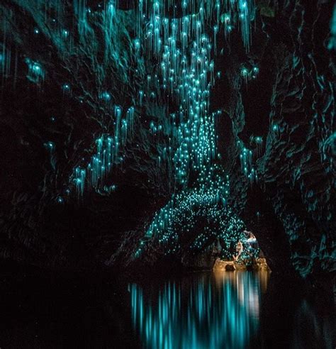 Glowworm Caves in New Zealand | POPSUGAR Smart Living Photo 4