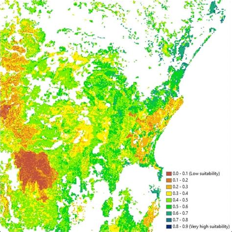 Koala mapping information | Koala Country