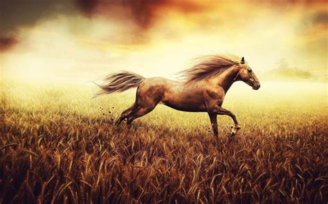 Running Horses Wallpaper (63+ images)