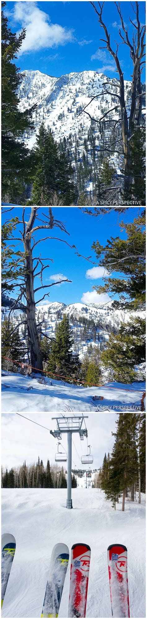 Why You Should Ski Solitude Mountain Resort + Trip Giveaway! - A Spicy Perspective