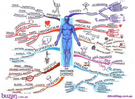 Category » Biology « @ Mind Map Art