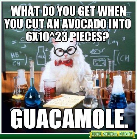 64 Chemistry Cat Meme ideas | chemistry cat, chemistry, chemistry jokes