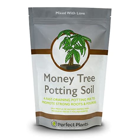 Marijuana Growth: The Best Potting Soil for Marijuana Plants