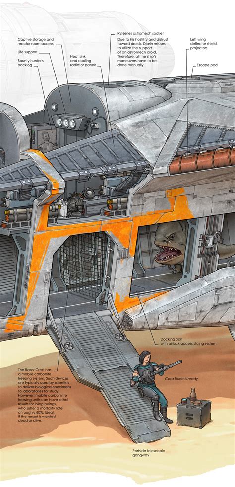 The Mandalorian's Razor Crest cross-section :: Behance