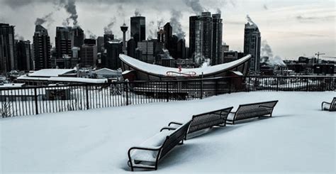 Here's how Calgary reacted to this week's intense snow storm | News