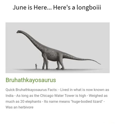 June is Here... Here's a longboiii Bruhathkayosaurus Quick ...