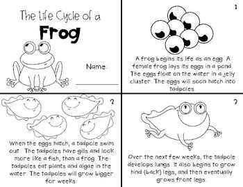 Frog Life Cycle Mini Book