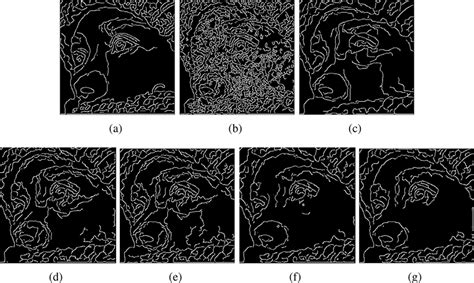 Edge map of the images "Girl" by using the canny edge detector: (a)... | Download Scientific Diagram