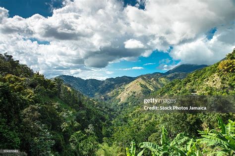 Jamaica Blue Mountains High-Res Stock Photo - Getty Images