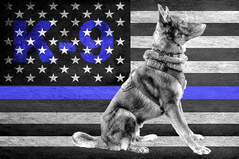 Thin Blue Line K9 Wallpaper