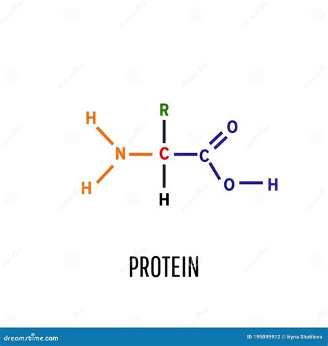 Protein. Structural Chemical Formula and Molecular Model. Vector ...