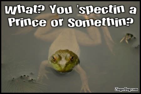 Frog Prince Quotes. QuotesGram