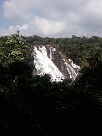 Tirathgarh Falls (Kanger Valley National Park) - 2019 What to Know ...