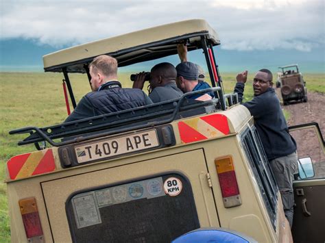 Safari Ngorongoro Crater - Fotografie zdarma | FotkyZadarmo.sk