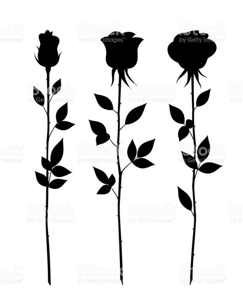 Black silhouette roses and leaves. Rose tattoo | Tatuagens de rosas negras, Rose tattoo black ...