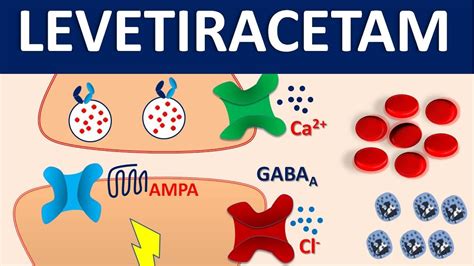 Levetiracetam (Keppra) - Mechanism, side effects, precautions and uses ...