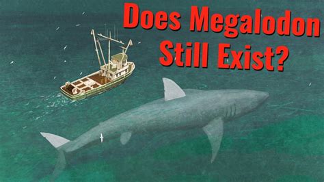 Are Megalodons Still Alive / Megalodon Shark Caught on Tape - The Megalodon Shark Still ...