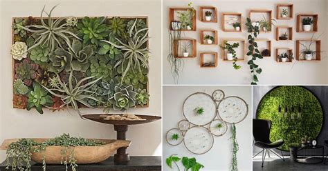 28 Artistic Plant Wall Art Ideas for Home Décor | Balcony Garden Web