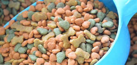 Top 5 Healthy Dog Food Brands - PetsBlogs