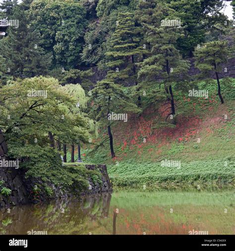 Garden of Imperial Palace, Tokyo, Japan Stock Photo - Alamy