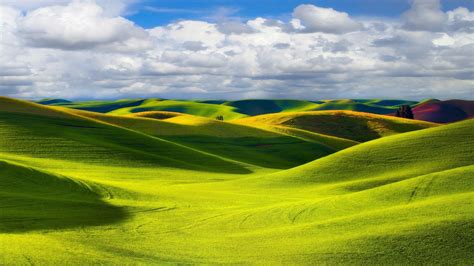 Green hills wallpaper - Free Wide HD Wallpaper | Landscape photography, Palouse, Landscape wallpaper