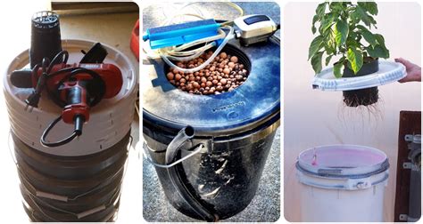 How to Build 5 Gallon Bucket Hydroponic System 🔥ACTUAL