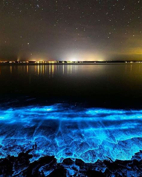 A beautiful capture of the bioluminescence captured in the Maldives islands. Bioluminescence is ...