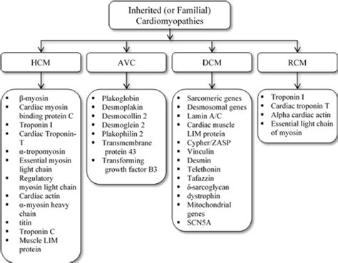 Inherited Heart Diseases: From Bench to Bedside