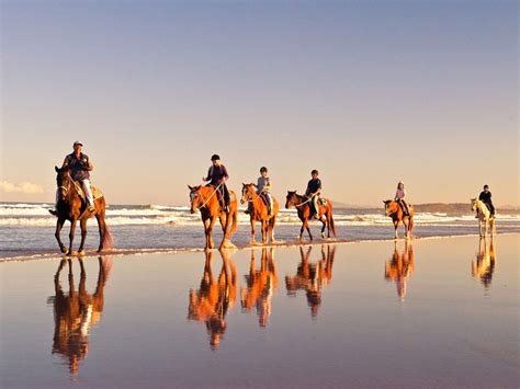 10 Of The Best Things To Do In Coffs Harbour