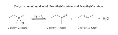 Solved Experiment 10- Dehydration of an | Chegg.com