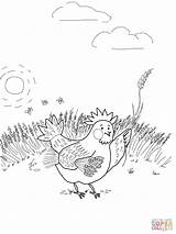 Gallinita Rooi Cuento Activities Sequence Openstax Cnx Cuentos Fichas  sketch template