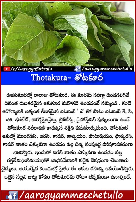 Benefits of Thotakura "తోటకూర" | Health tips, Lesson quotes, Math tricks