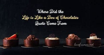 Where Did the Life is Like a Box of Chocolates Quote Come From?