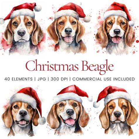 Christmas Beagle Clipart - Etsy