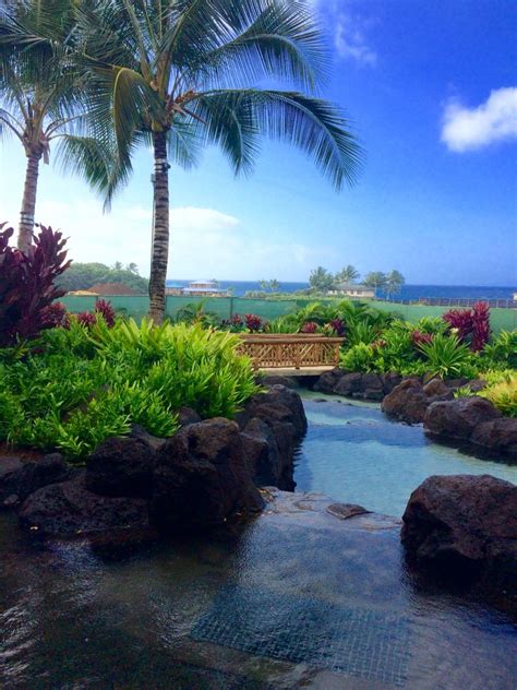 Koloa Landing Poipu Beach Kauai | Hawaii beaches, Hawaii pictures, Kauai