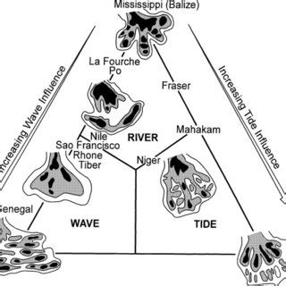 Sandbody geometries of six basic types of deltas (after Coleman &... | Download Scientific Diagram