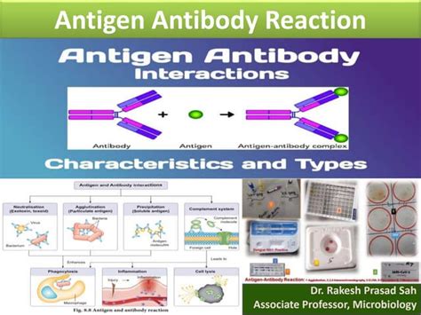 Antigen Antibody Reactions.pptx