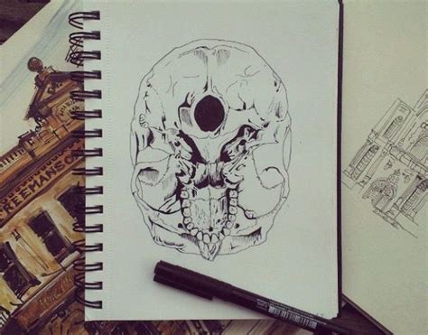 Scull Anatomy. Pen