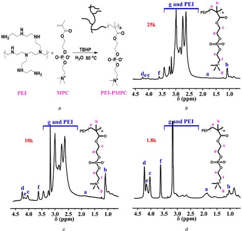 Synthesis and characterisation of PEI‐PMPC with different molecular... | Download Scientific Diagram